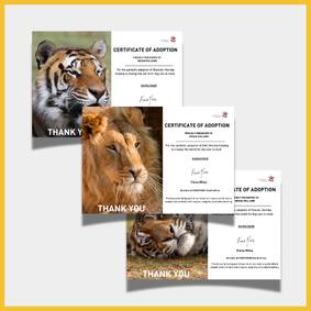 BCAP Certificates