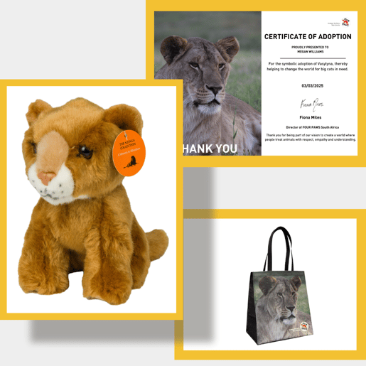 Gifts you will receive when you adopt Vasylyna