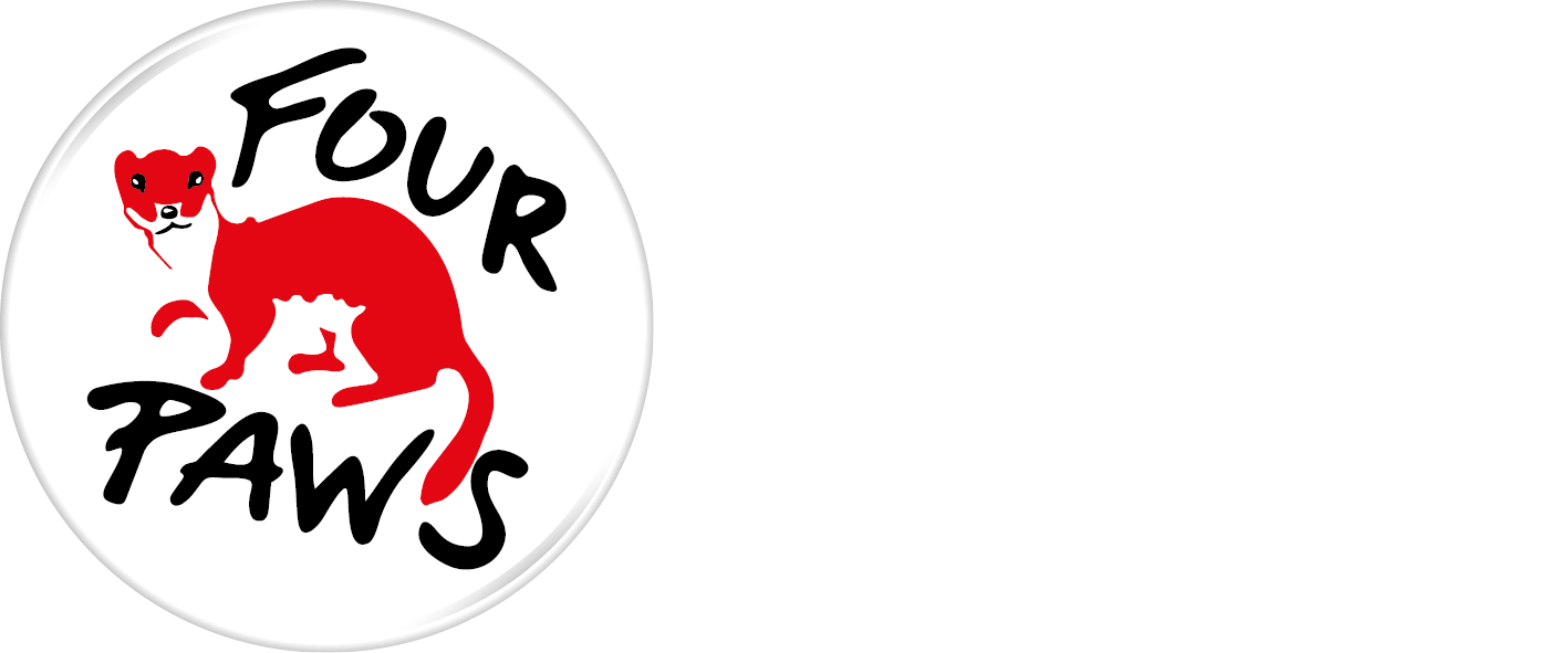 Four paws international logo